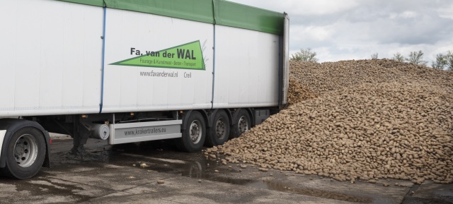 Voeraardappelen te koop.