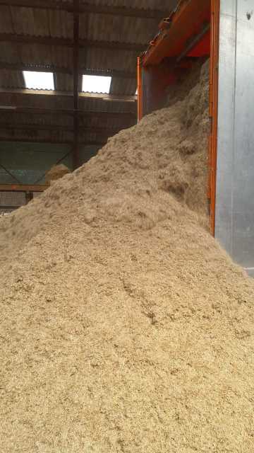 Geschoond los gestort vlas