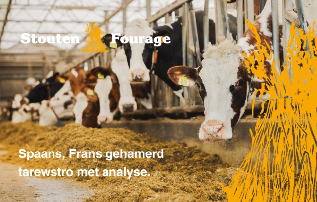 Spaans gehamerd stro met touw