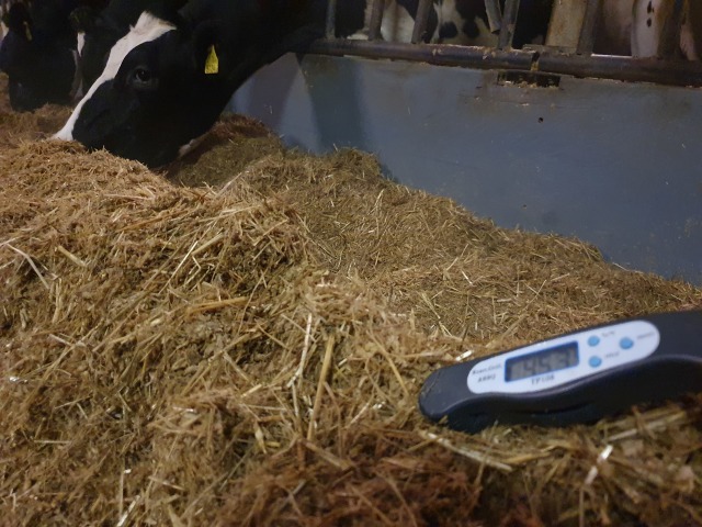 TMR-BROEIREMMER, de EFFECTIEFSTE en GOEDKOOPSTE !