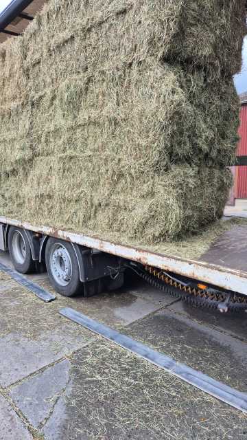 Te koop, nieuwe oogst 2025 mooi kort weide Hooi.