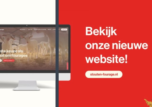 Nieuwe oogst tarwestro af-land!