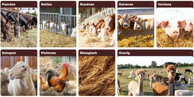 Nieuwe oogst tarwestro af-land!