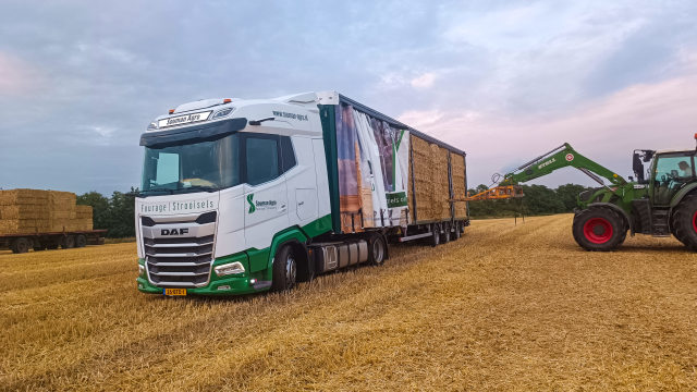 Nieuwe oogst tarwestro