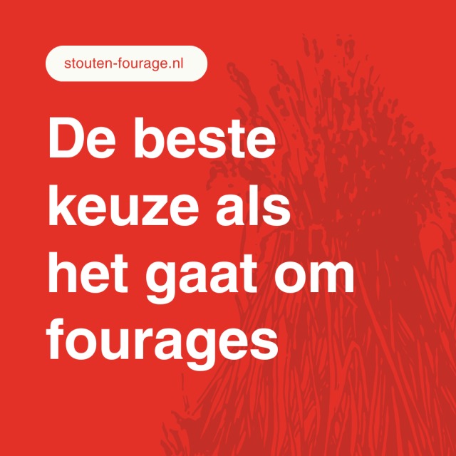 Vlas strooisel, extra scherp geprijsd
