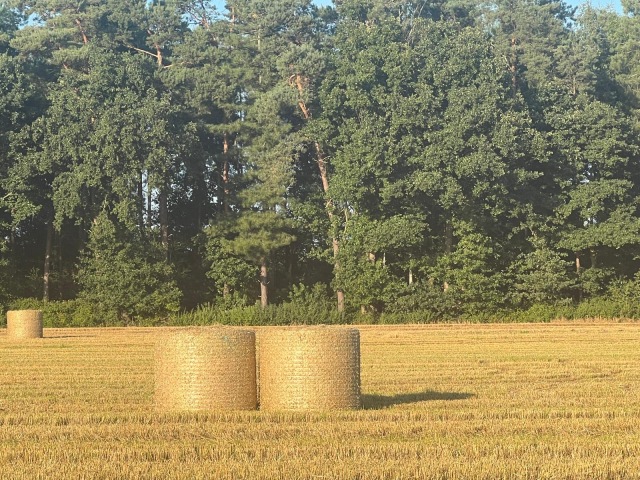 Gerst stro ronde balen