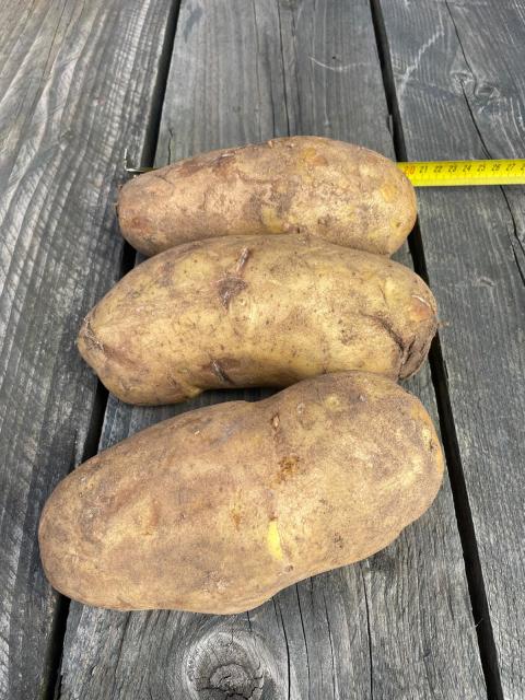 Voeraardappels.