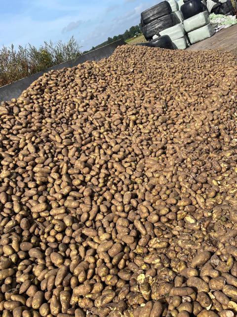 Voeraardappels.