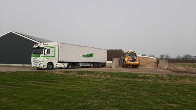 100 ton gekuilde snijmaïs 36%DS 980VEM 365 Zetmeel