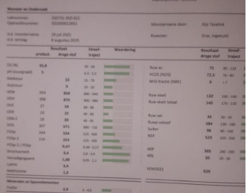 250 Ton Gehakseld kuilgras 45,8%DS 858VEM 75RAS