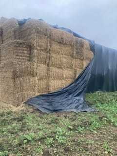 Rogge / Haver  Stro..