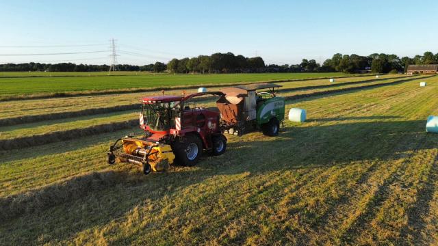 200 gehakselde grasbalen voor geiten of melkvee !