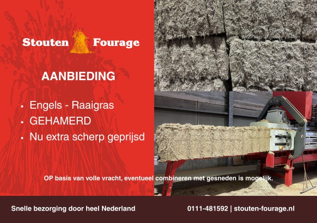 GEHAMERD engels-raai AANBIEDING