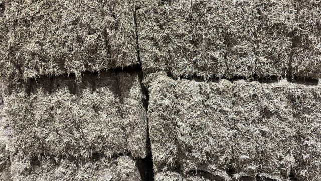 GEHAMERD engels-raai AANBIEDING