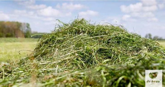 Mooie Partij kuilgras