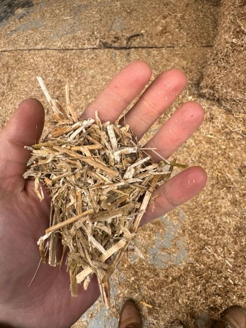 Gehamerd koolzaadstro