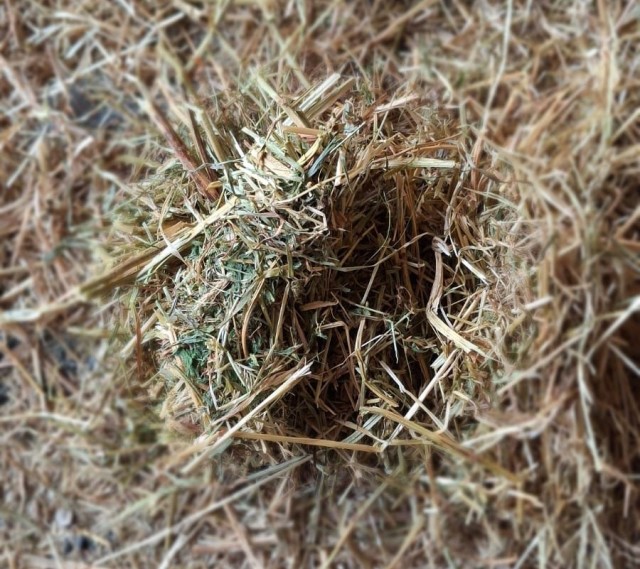 Luzernehooi biologisch