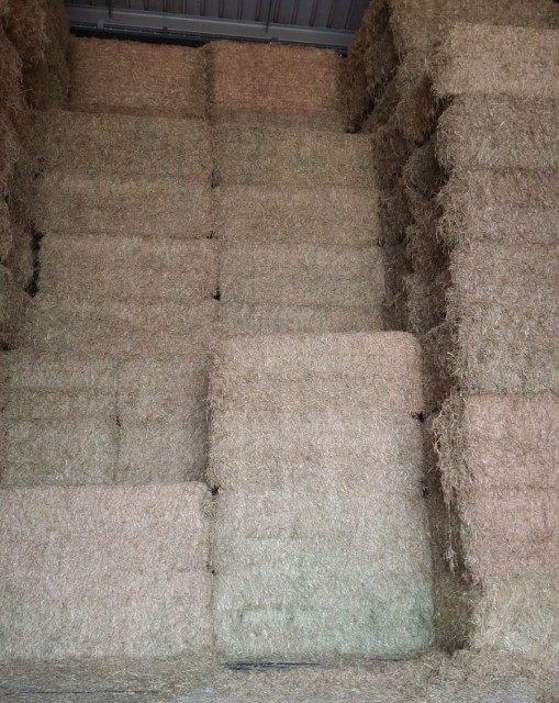 Luzernehooi biologisch