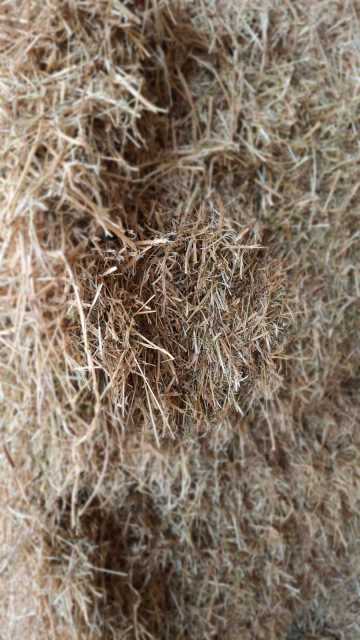 Luzernehooi biologisch