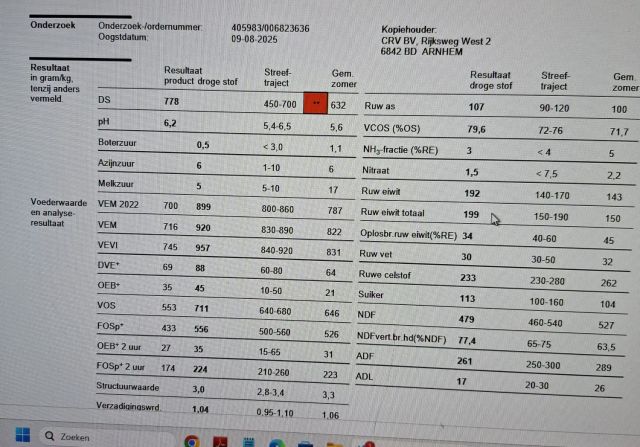 Vierkante kuilbalen 920 VEM 77,8 DS