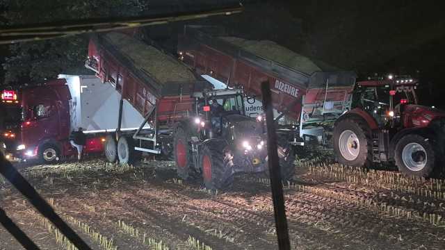 Kuilmais (Voer voor koeien B.V.)