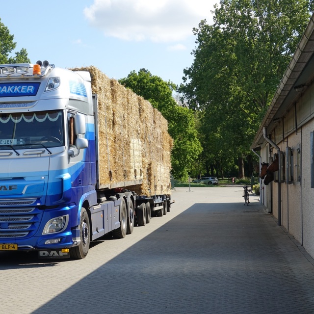 Nieuwe oogst Tarwestro