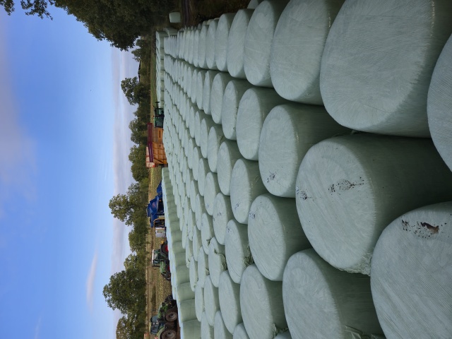 Maisbalen