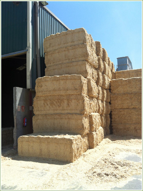 GEHAMERD / GEHAKSELD TARWESTRO''