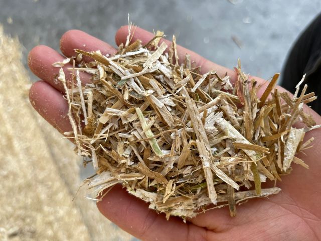 Te koop: Koolzaadstro gehakseld grote balen,