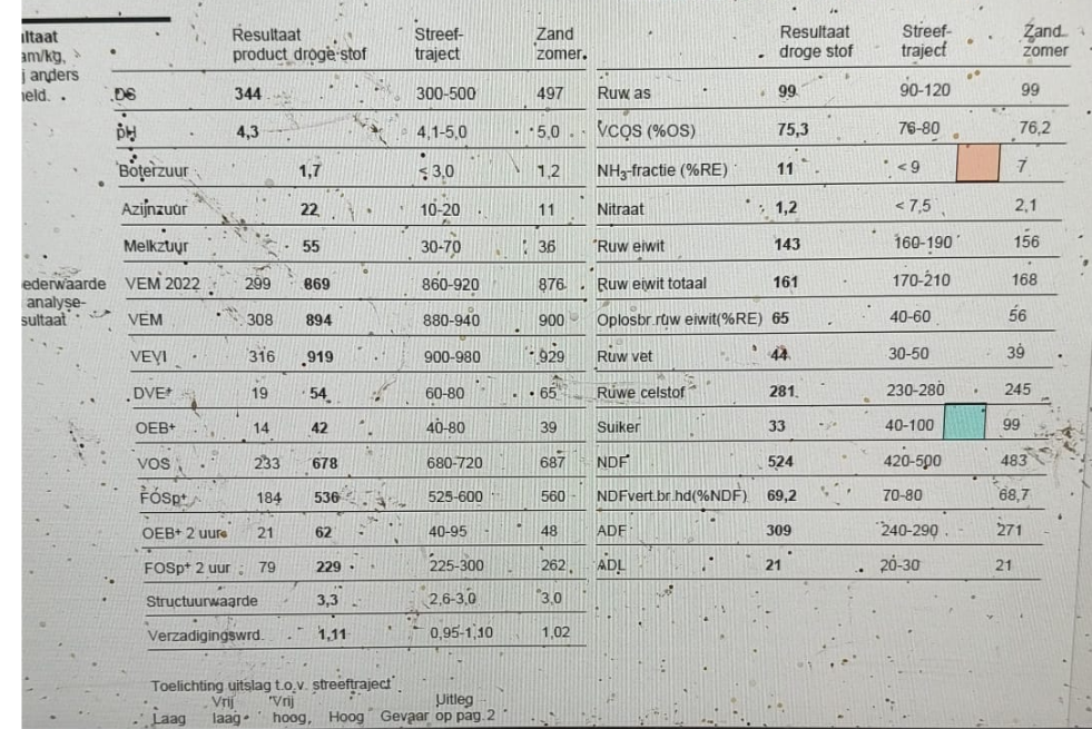 Te Koop 120 ton gehakseld kuilgras 34%DS 894VEM 99RAS 161RET
