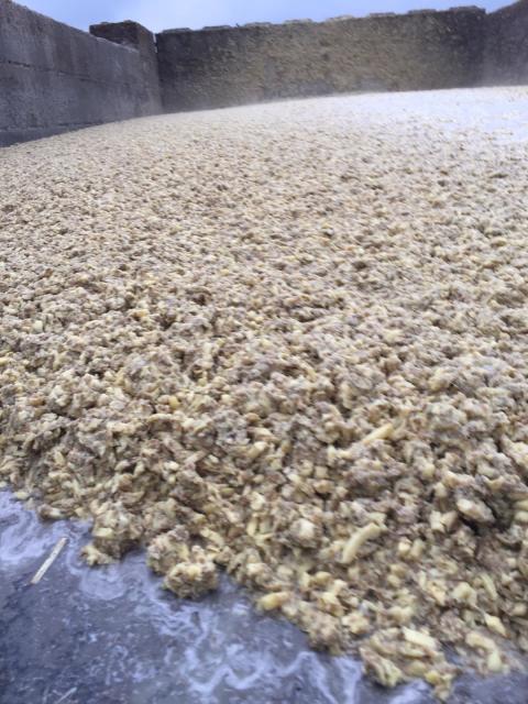 Aardappelstoomschillen/snippers 16% DS,600zetmeel