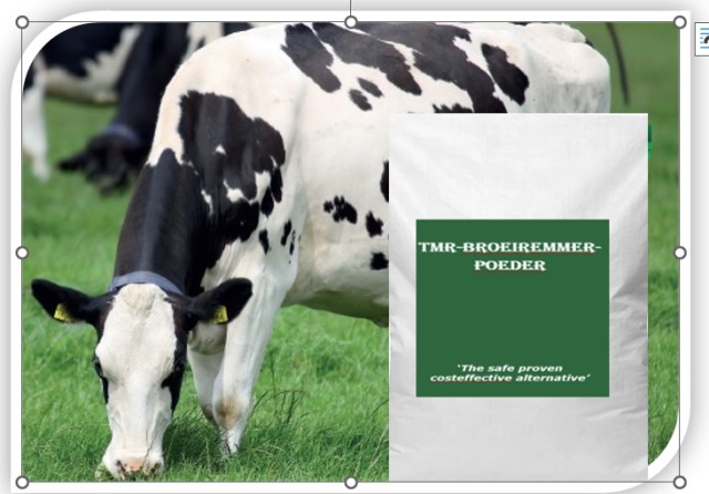 TMR-BROEIREMMER-POEDER